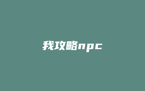 我攻略npc