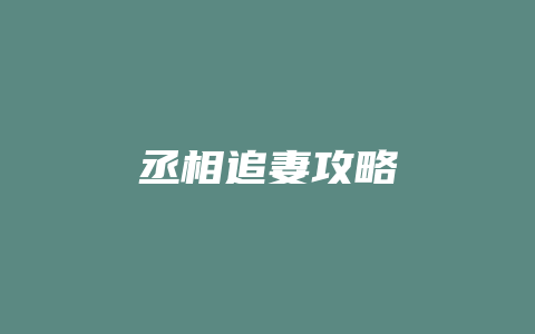 丞相追妻攻略