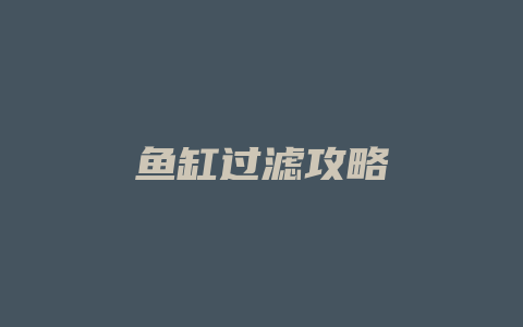 鱼缸过滤攻略