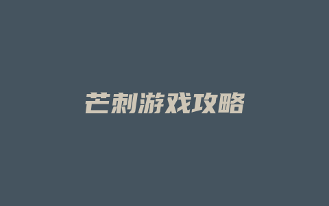 芒刺游戏攻略