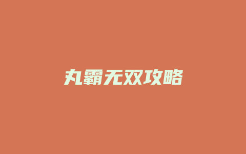 丸霸无双攻略