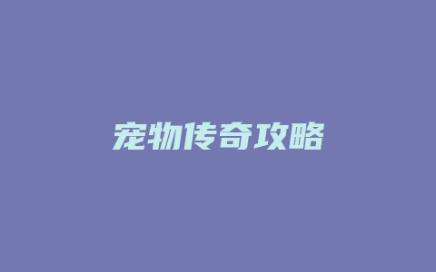 宠物传奇攻略