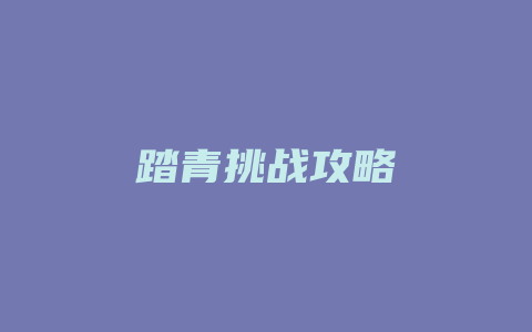 踏青挑战攻略