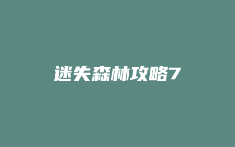 迷失森林攻略7